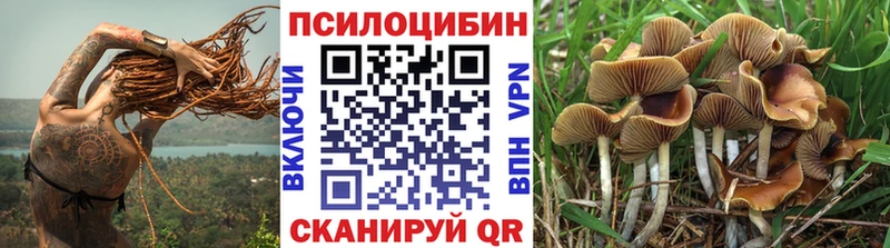 Галлюциногенные грибы ЛСД  MEGA онион  Ардатов  где найти  